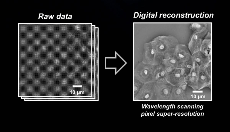 Illustration for article titled A New Sensor Turns Old Microscopes Into Super-Resolution Devices